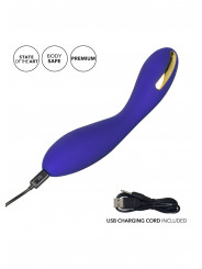 Vibromasseur Impulse E-Stimulator Wand CalExotics explication