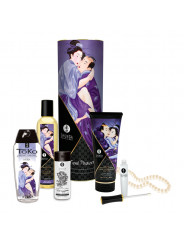 Coffret plaisir ultime Carnal Pleasure Shunga