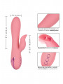 Vibromasseur rabbit Pasadena Player CalExotics