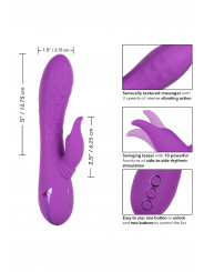 Vibromasseur rabbit Valley Vamp CalExotics - dimensions