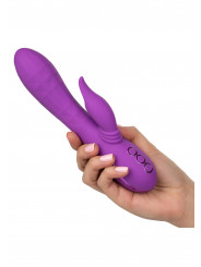 Vibromasseur rabbit Valley Vamp CalExotics - prise en main