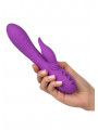 Vibromasseur rabbit Valley Vamp CalExotics